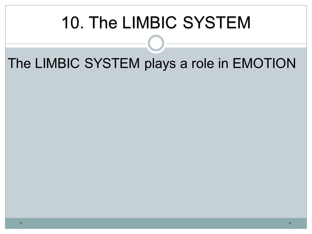 10. The LIMBIC SYSTEM The LIMBIC SYSTEM plays a role in EMOTION