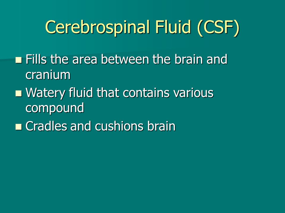 Cerebrospinal Fluid (CSF)