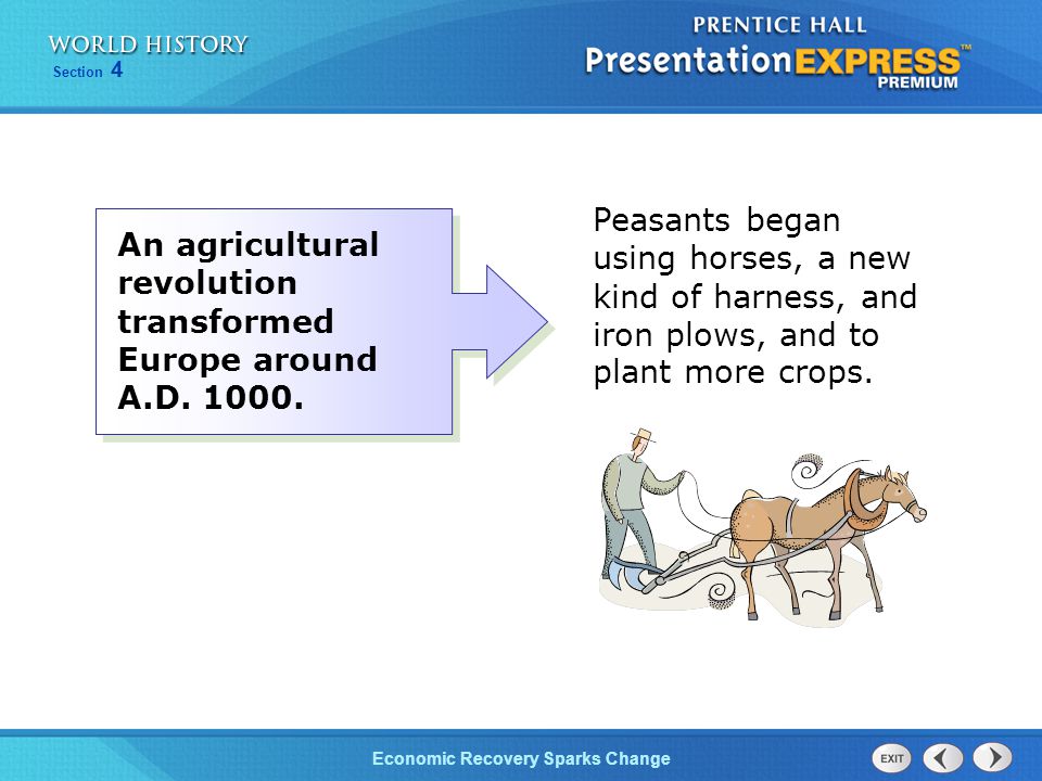 Peasants began using horses, a new kind of harness, and iron plows, and to plant more crops.
