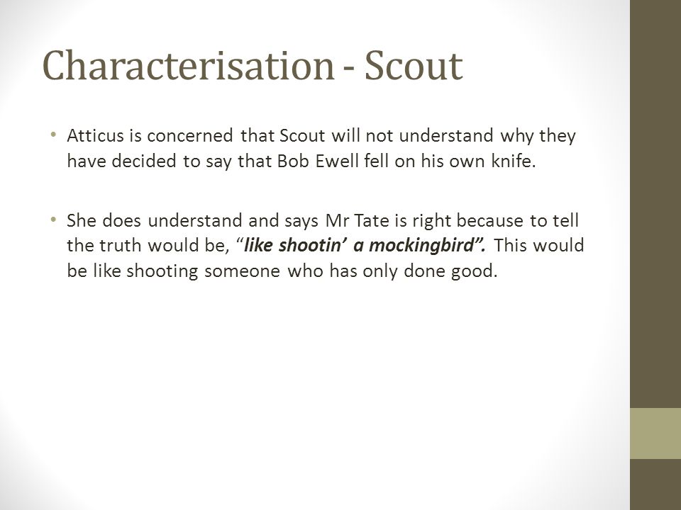 Characterisation - Scout