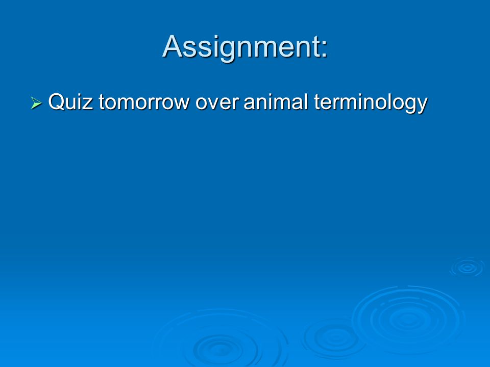 Assignment: Quiz tomorrow over animal terminology