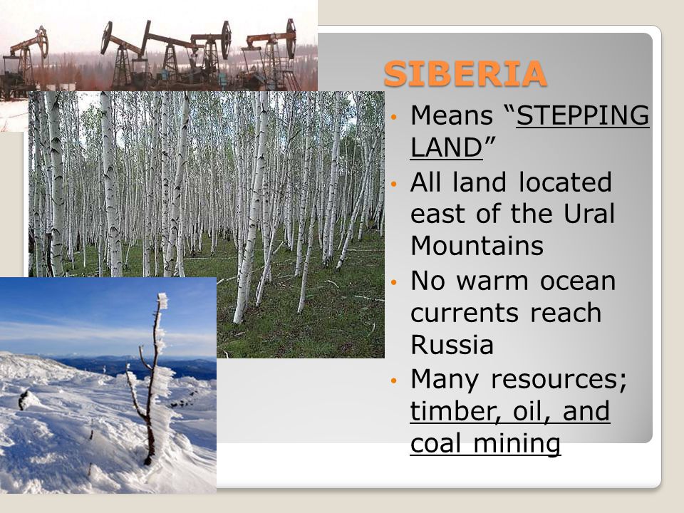 SIBERIA Means STEPPING LAND