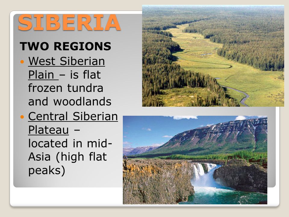 SIBERIA TWO REGIONS. West Siberian Plain – is flat frozen tundra and woodlands.
