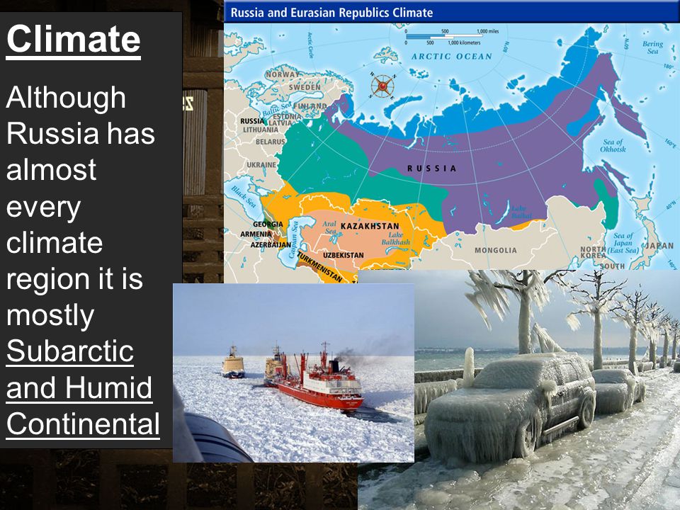 Climate Although Russia has almost every climate region it is mostly Subarctic and Humid Continental.