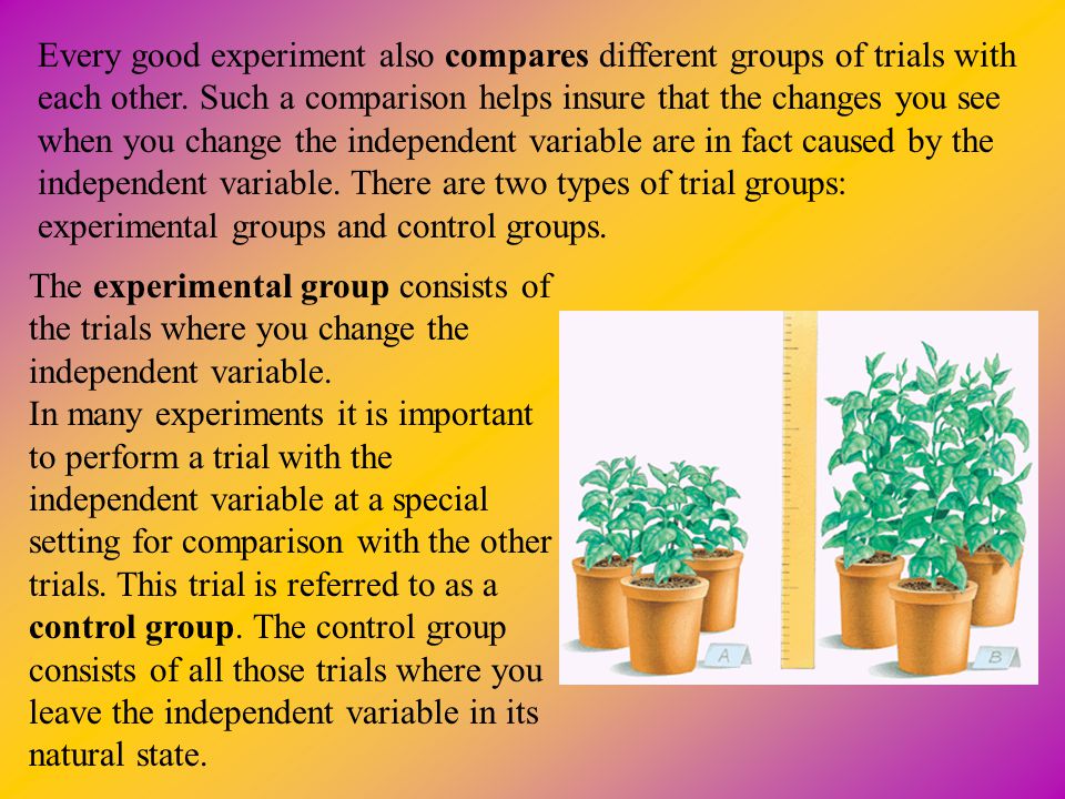 Every good experiment also compares different groups of trials with each other. Such a comparison helps insure that the changes you see when you change the independent variable are in fact caused by the independent variable. There are two types of trial groups: experimental groups and control groups.