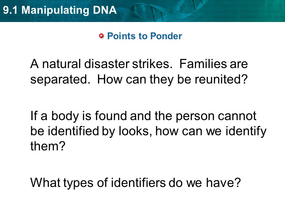 What types of identifiers do we have