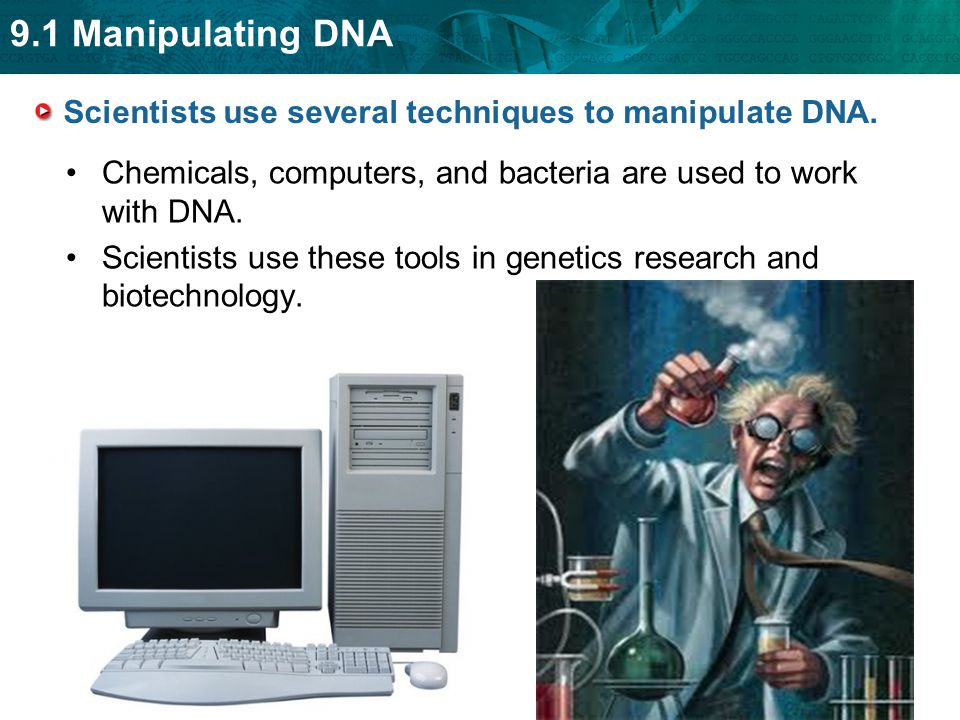 Scientists use several techniques to manipulate DNA.
