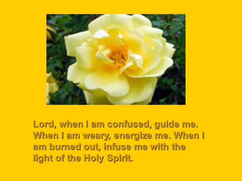 Lord, when I am confused, guide me.