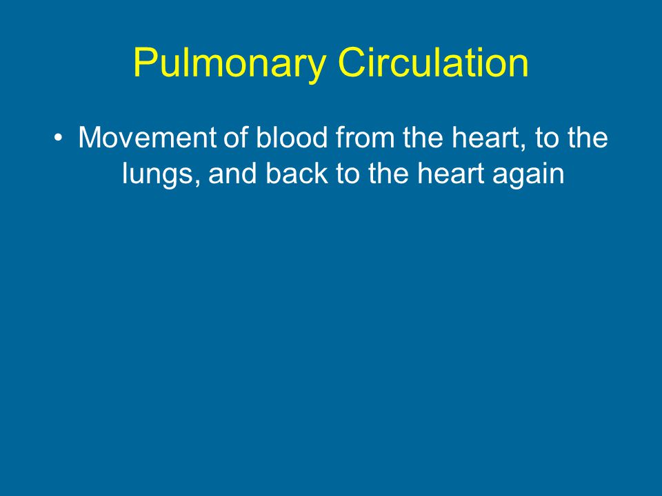 Pulmonary Circulation