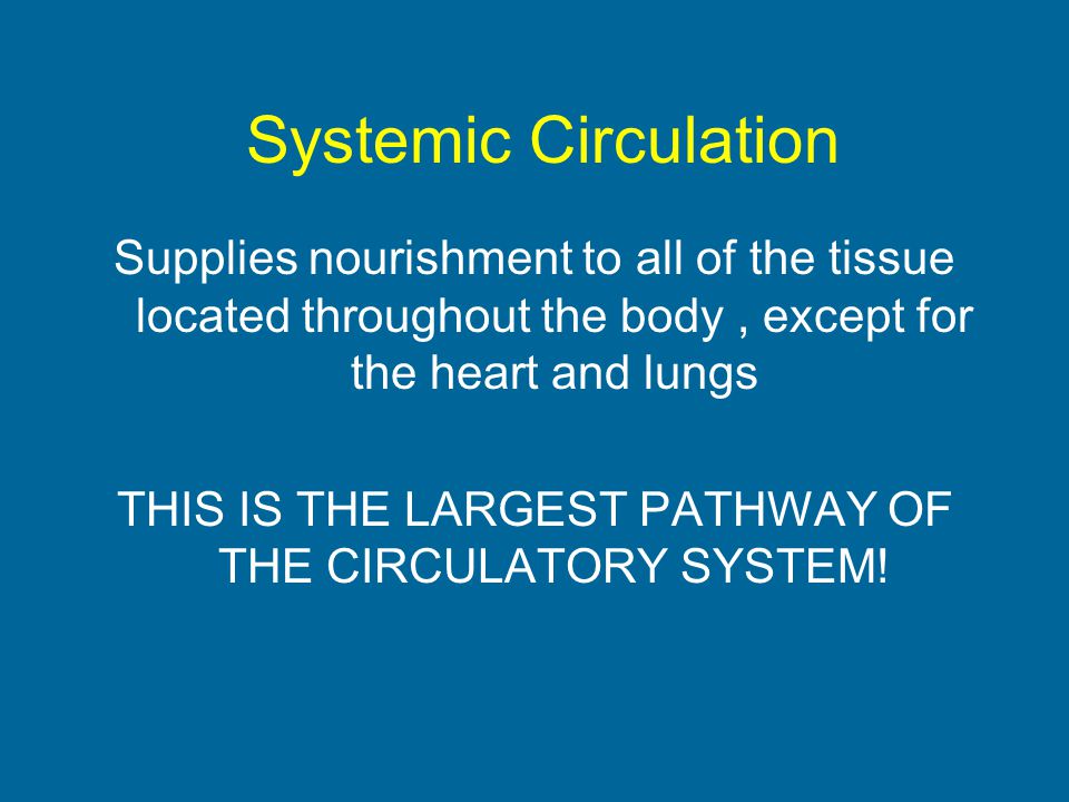 THIS IS THE LARGEST PATHWAY OF THE CIRCULATORY SYSTEM!