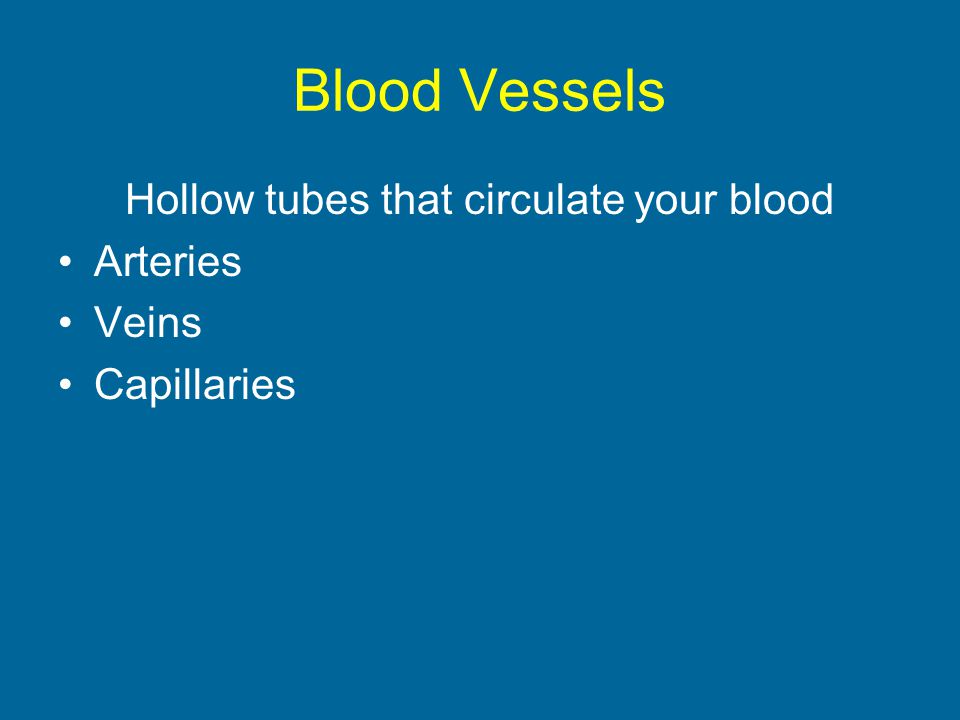 Hollow tubes that circulate your blood