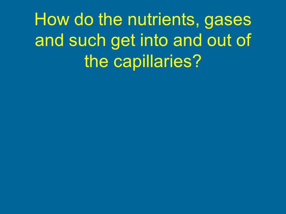 How do the nutrients, gases and such get into and out of the capillaries