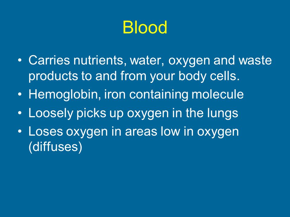 Blood Carries nutrients, water, oxygen and waste products to and from your body cells. Hemoglobin, iron containing molecule.