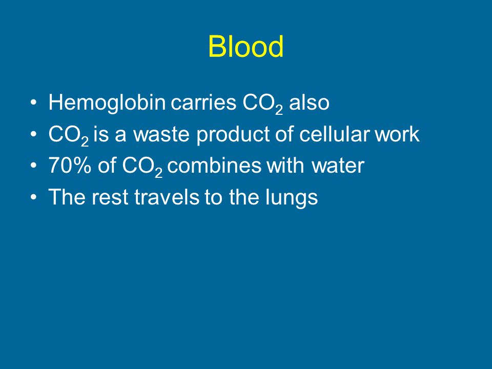 Blood Hemoglobin carries CO2 also