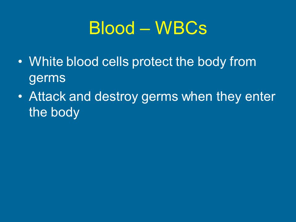 Blood – WBCs White blood cells protect the body from germs