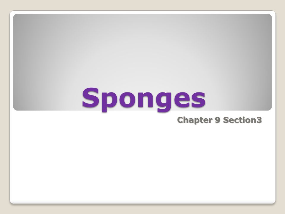 Sponges Chapter 9 Section3