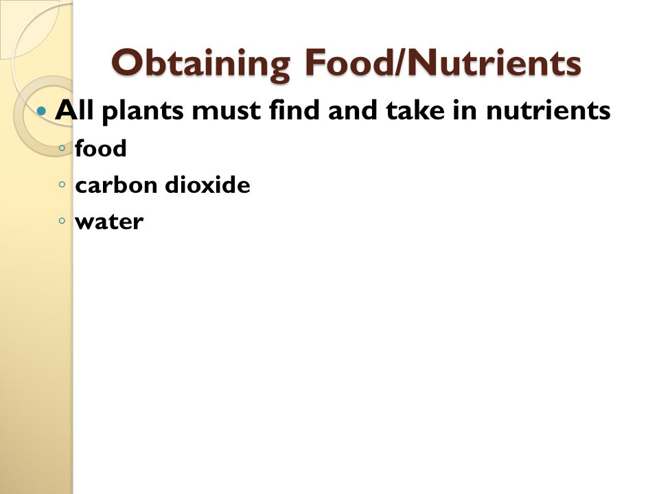 Obtaining Food/Nutrients