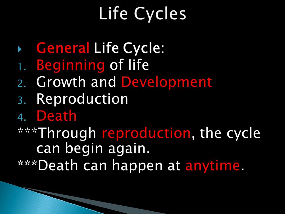 Life Cycles General Life Cycle: Beginning of life