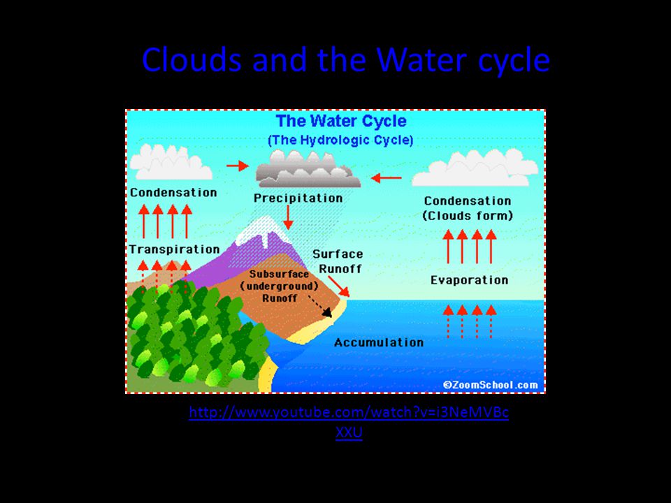 Clouds and the Water cycle