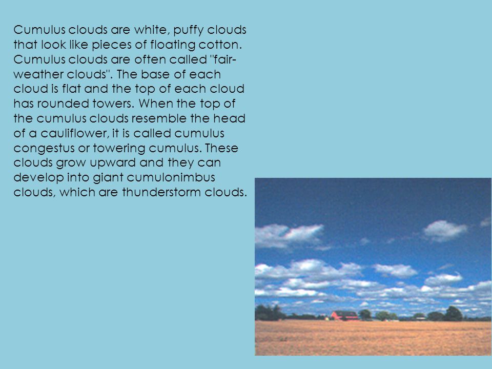 Cumulus clouds are white, puffy clouds that look like pieces of floating cotton.