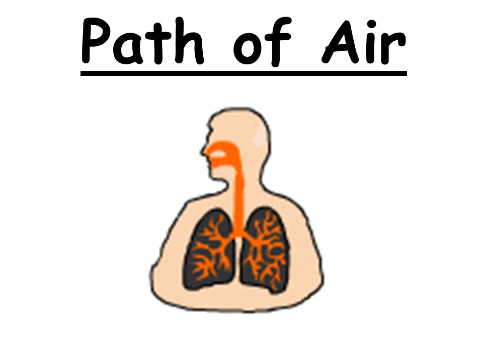 Path of Air