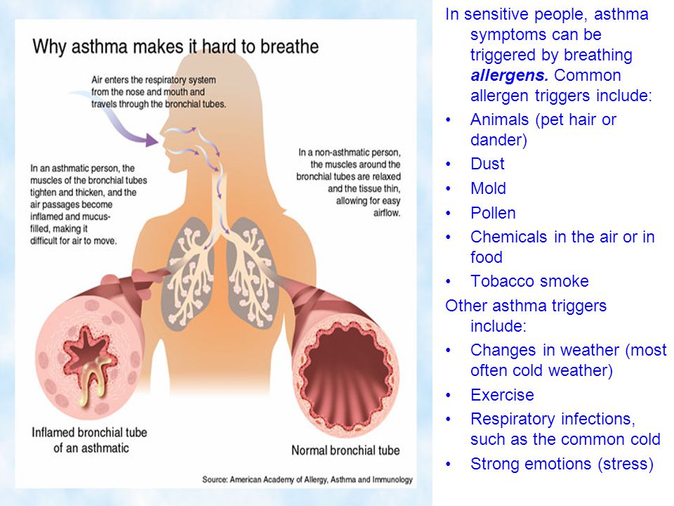 In sensitive people, asthma symptoms can be triggered by breathing allergens. Common allergen triggers include: