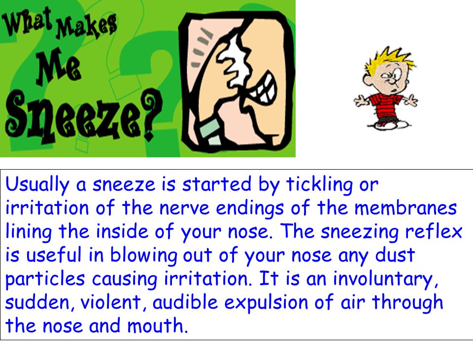 Usually a sneeze is started by tickling or irritation of the nerve endings of the membranes lining the inside of your nose.
