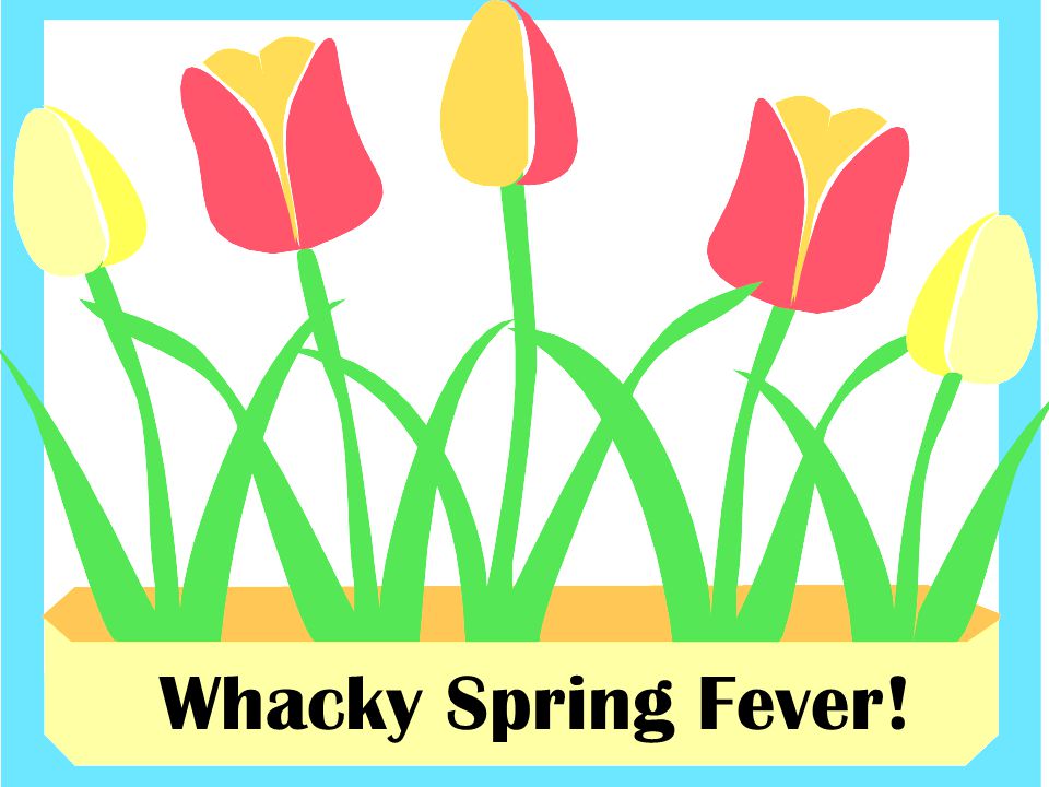 Whacky Spring Fever!