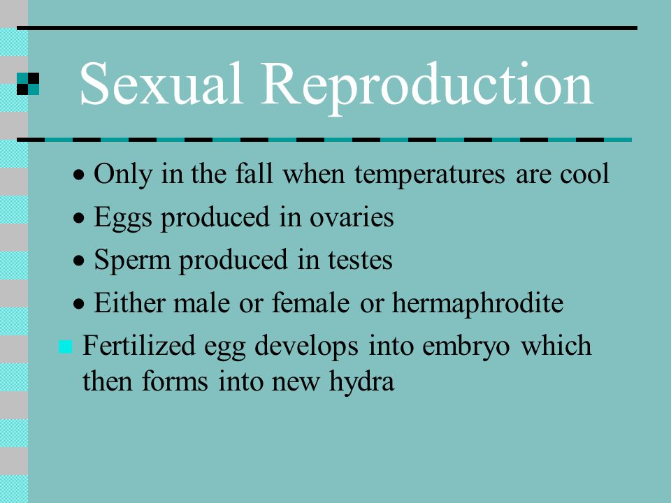 Sexual Reproduction · Only in the fall when temperatures are cool