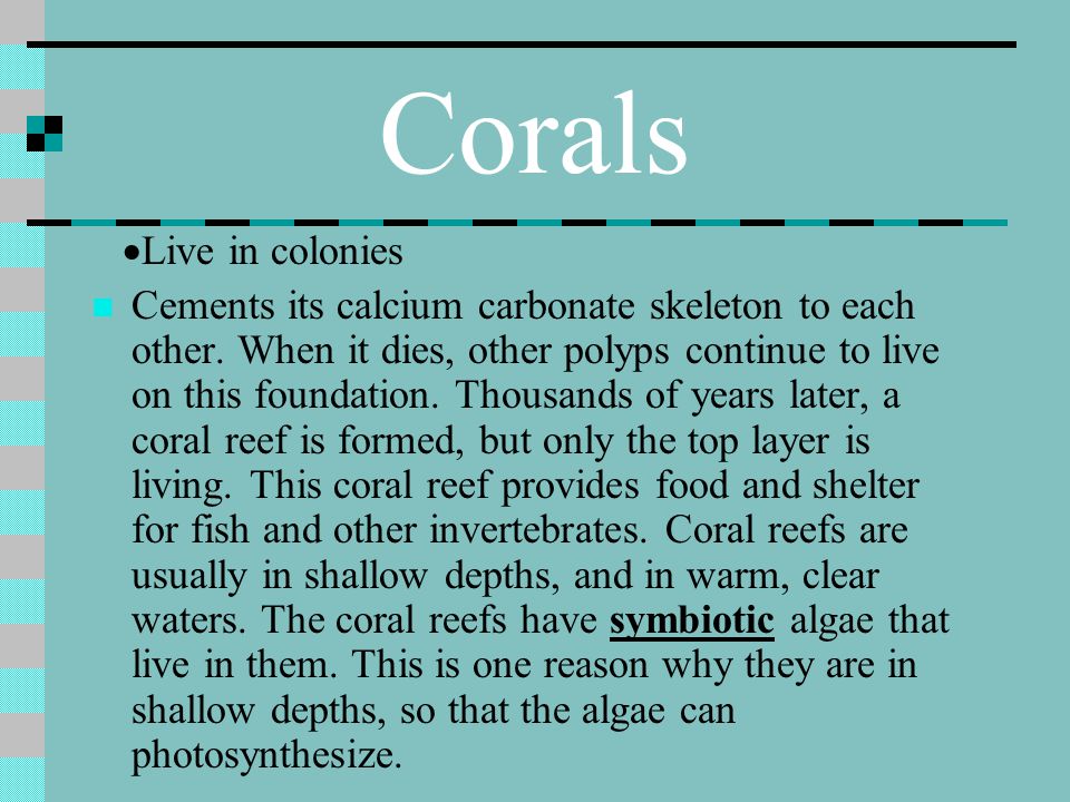 Corals ·Live in colonies