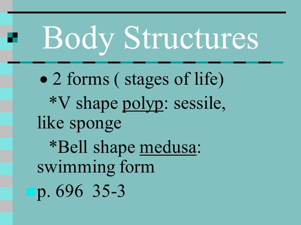 Body Structures · 2 forms ( stages of life)