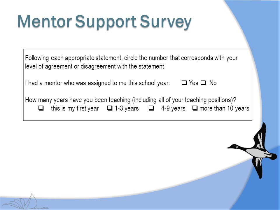 Mentor Support Survey