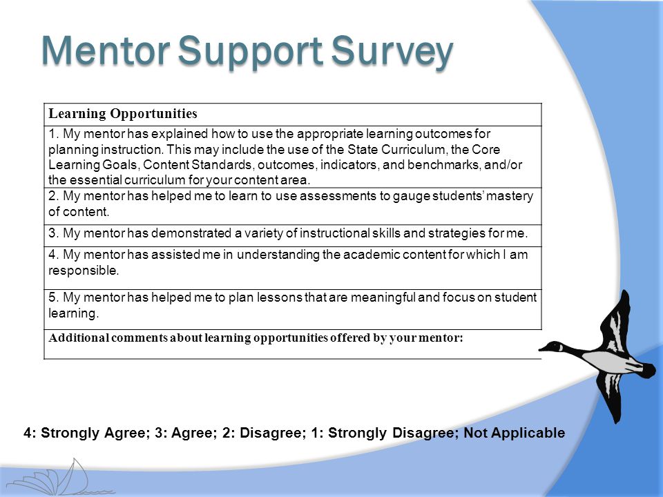 Mentor Support Survey Learning Opportunities