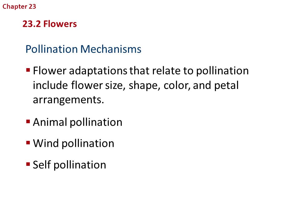 Pollination Mechanisms
