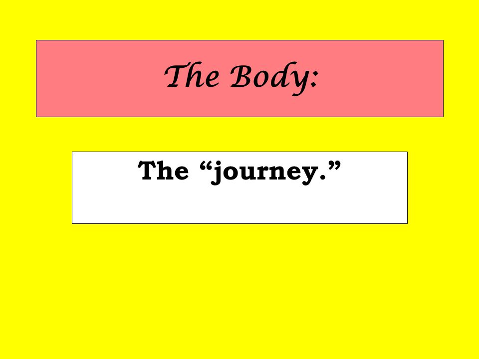 The Body: The journey.