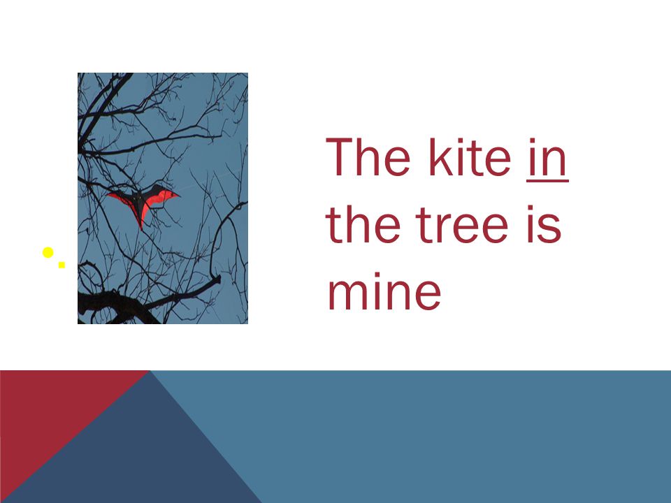 The kite in the tree is mine