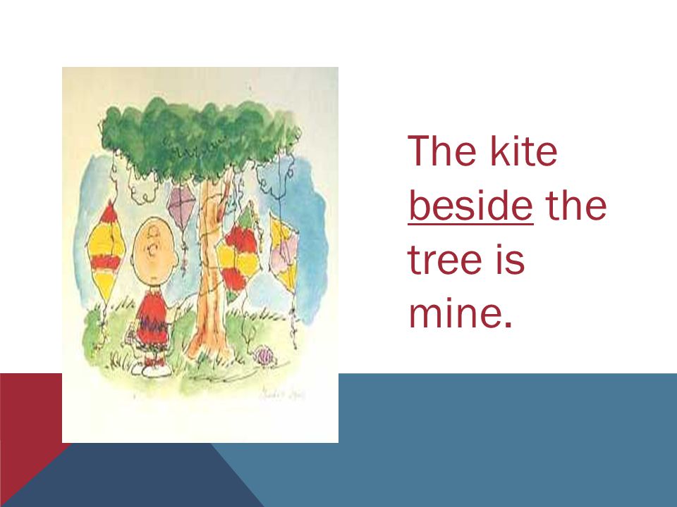 The kite beside the tree is mine.