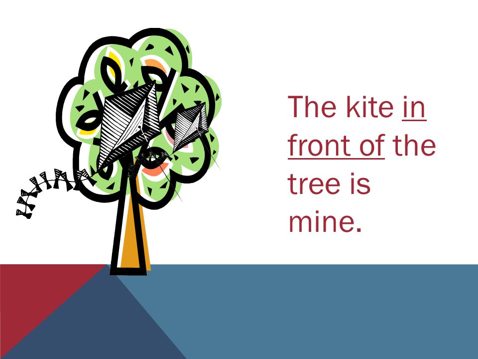 The kite in front of the tree is mine.