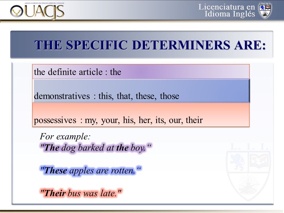 THE SPECIFIC DETERMINERS ARE: