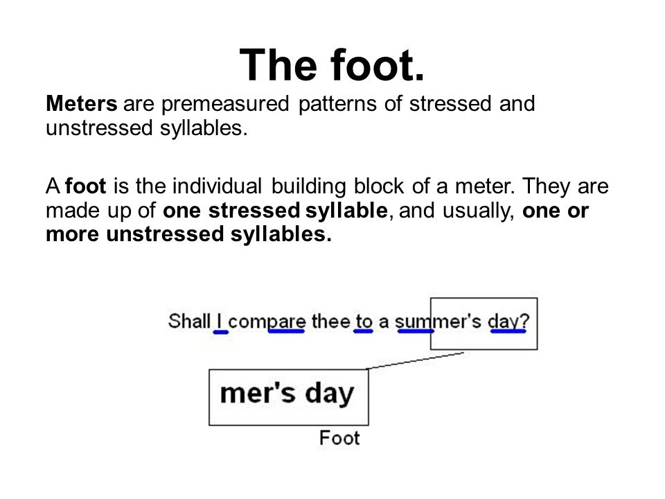 The foot.