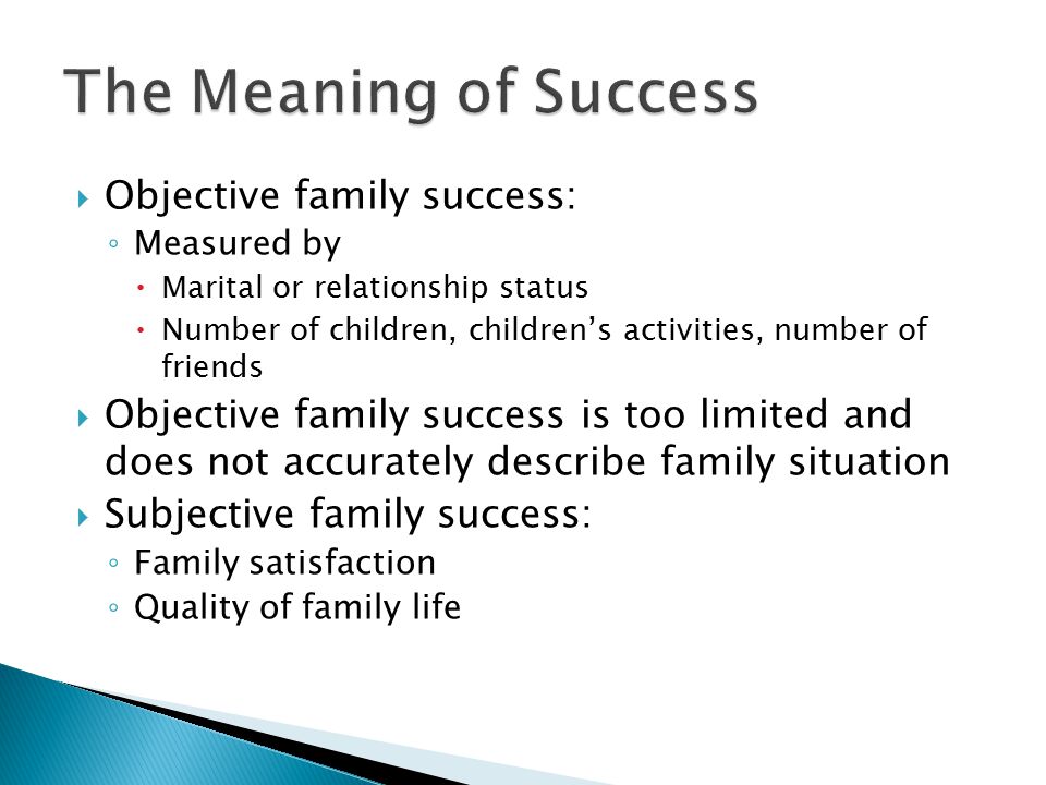 The Meaning of Success Objective family success: