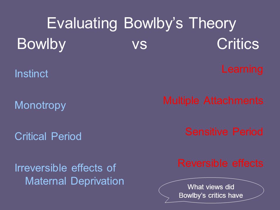 Evaluating Bowlby’s Theory Bowlby vs Critics