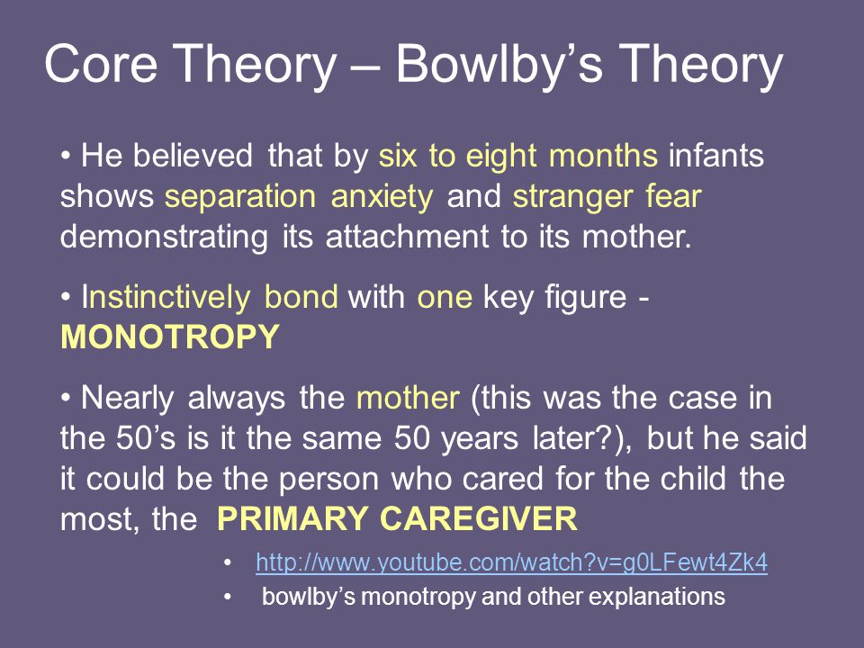 Core Theory – Bowlby’s Theory