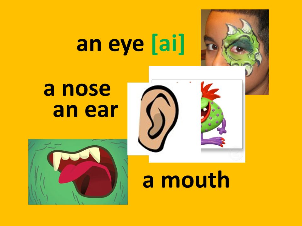 an eye [ai] a nose an ear a mouth