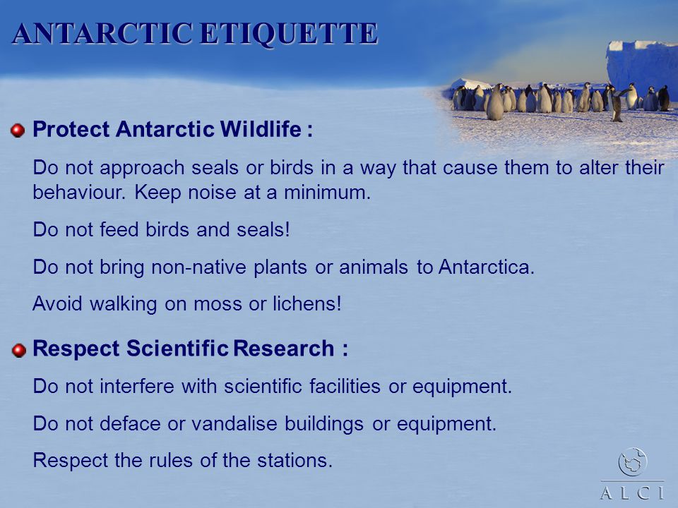 ANTARCTIC ETIQUETTE Protect Antarctic Wildlife :