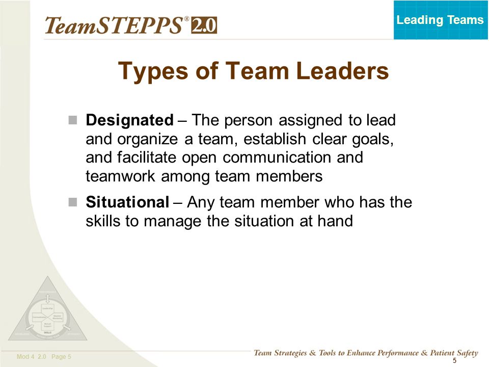 Types of Team Leaders