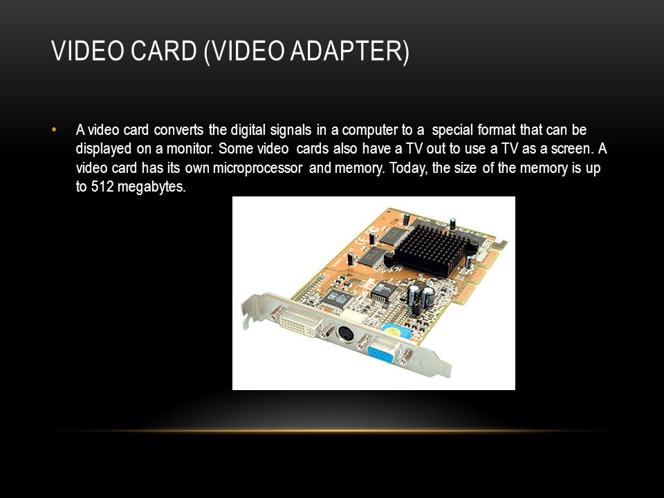 Video Card (Video Adapter)
