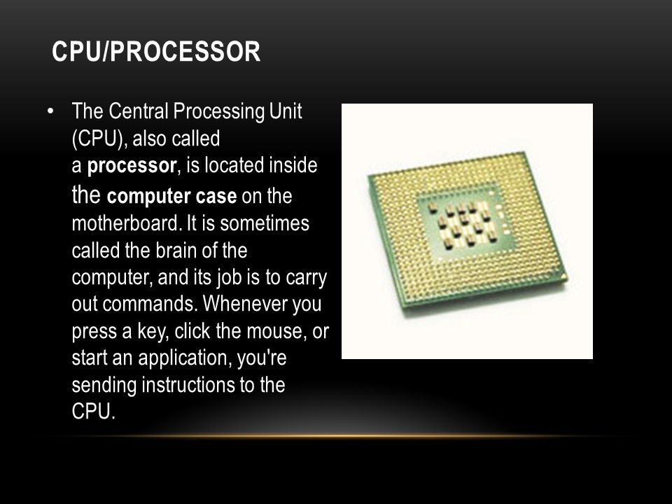 CPU/Processor