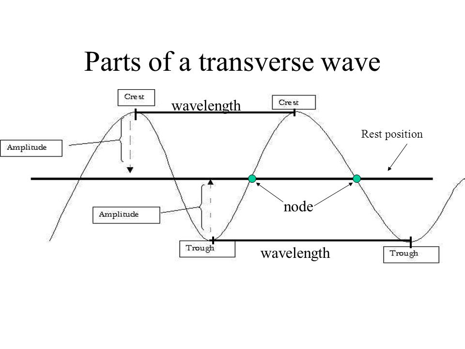Parts of a transverse wave