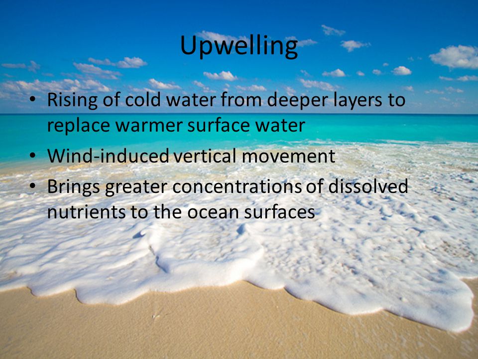 Upwelling Rising of cold water from deeper layers to replace warmer surface water. Wind-induced vertical movement.